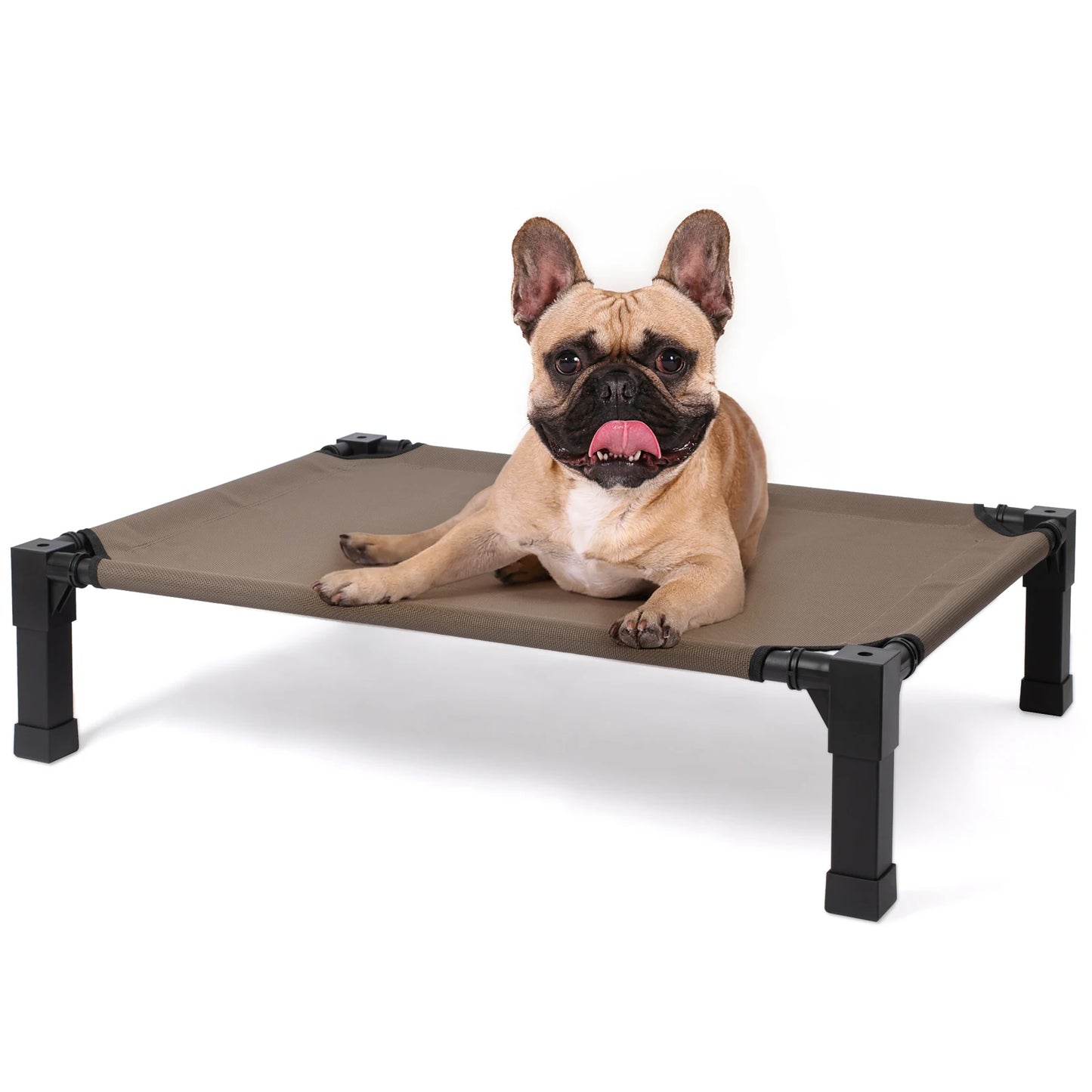 Elevated Cooling Raised Pet Cot, Chew Proof, Washable Breathable Mesh and Metal Frame
