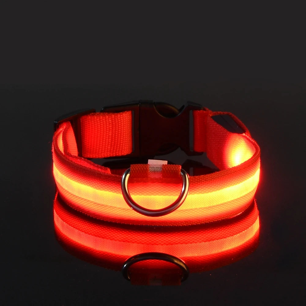 Nylon LED Night Safety Flashing Glow In The Dark Dog Leash Dogs Lumnious Fluorescent Pet Dog Collar