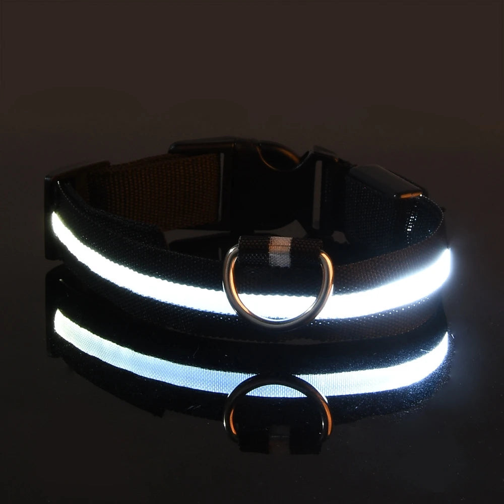 Nylon LED Night Safety Flashing Glow In The Dark Dog Leash Dogs Lumnious Fluorescent Pet Dog Collar