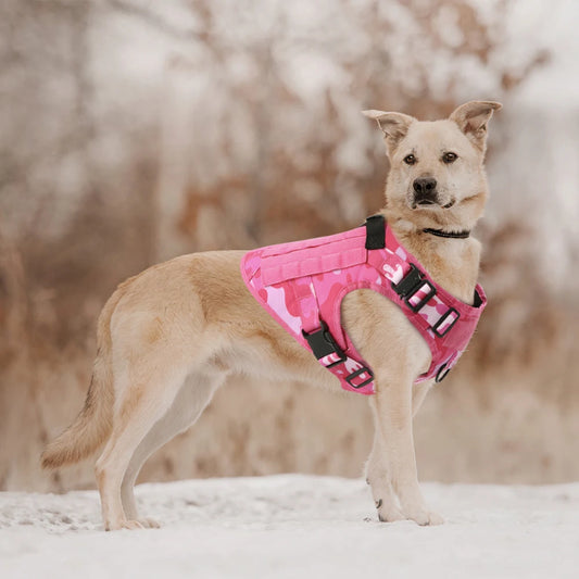 Military Pink Camouflage Dog Harness for Large/Medium Dogs, Harnesses Leash Adjustable, Pet German Shepherd Tactical Training Vest.