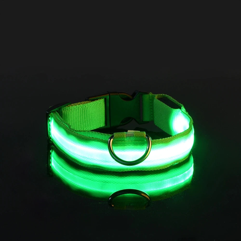 Nylon LED Night Safety Flashing Glow In The Dark Dog Leash Dogs Lumnious Fluorescent Pet Dog Collar
