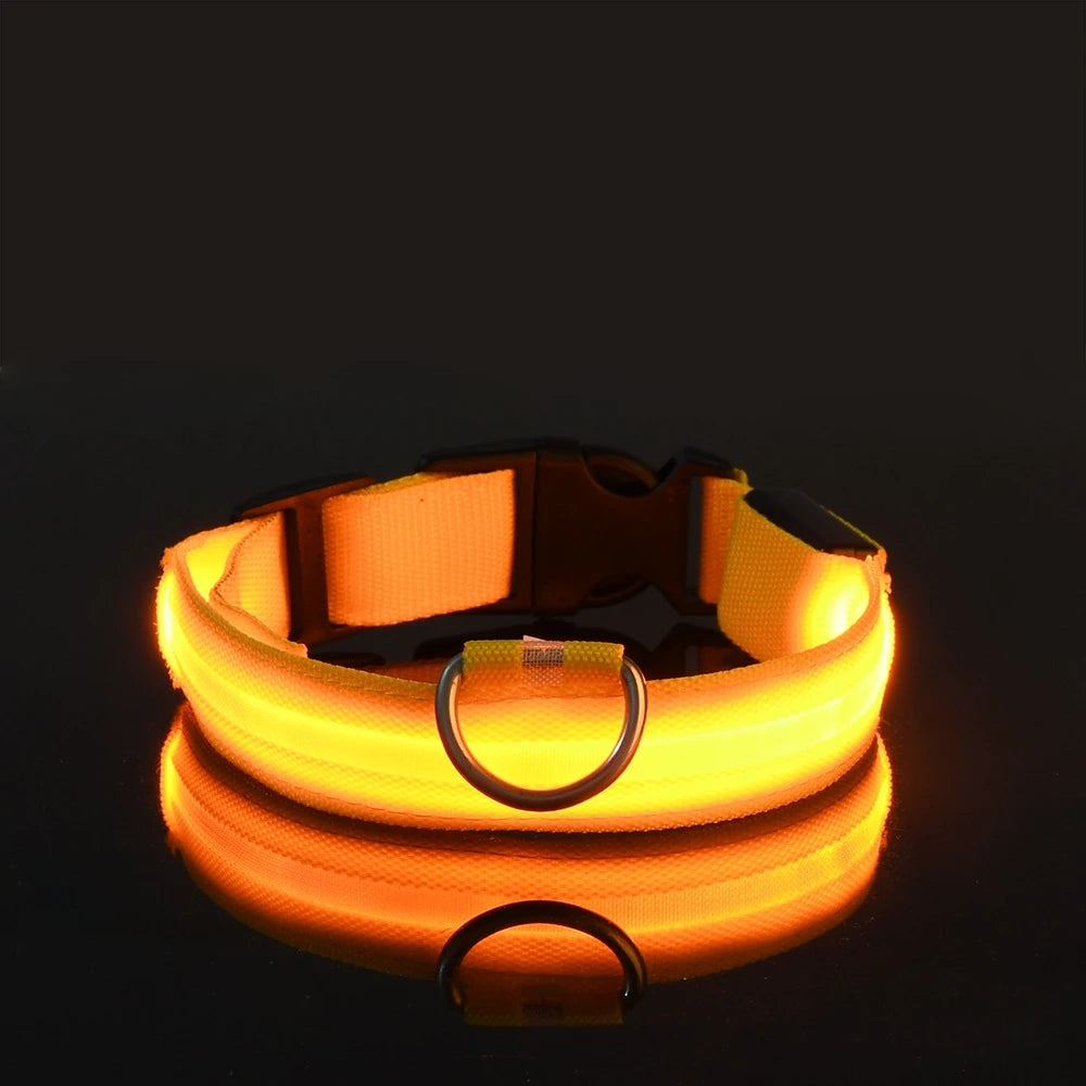 Nylon LED Night Safety Flashing Glow In The Dark Dog Leash Dogs Lumnious Fluorescent Pet Dog Collar