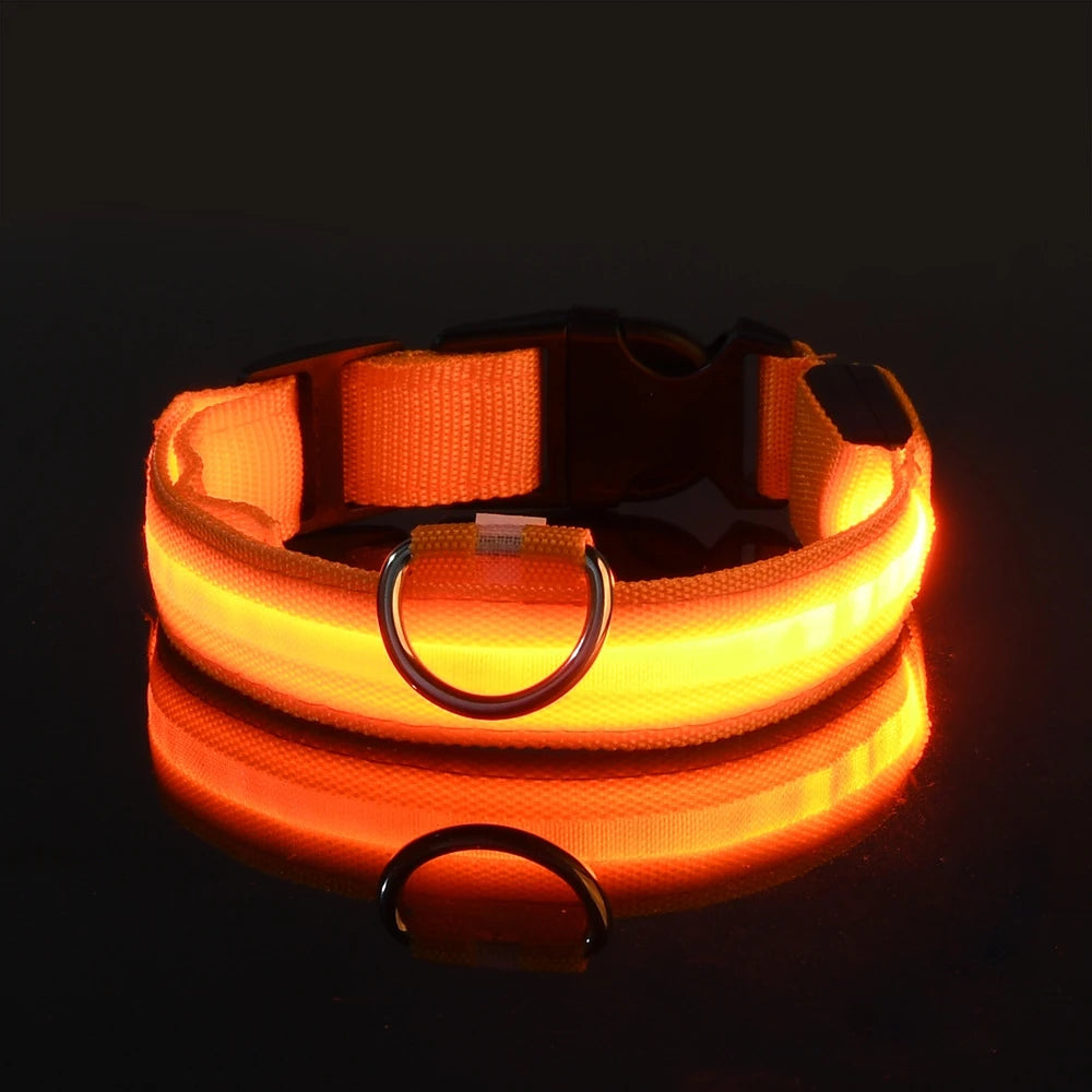 Nylon LED Night Safety Flashing Glow In The Dark Dog Leash Dogs Lumnious Fluorescent Pet Dog Collar