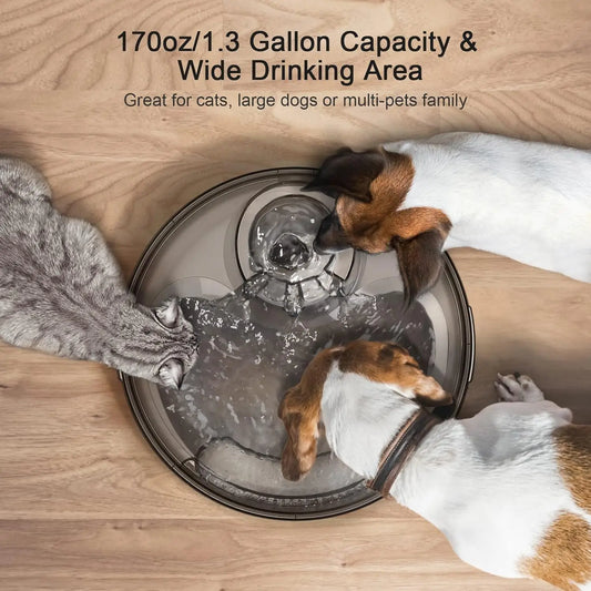 NPET DF10 Water Fountain, 170oz/1.3Gallon/5L Large Automatic Pet Water Dispenser Dog Water Bowl for Cats, Dogs, Multiple Pets