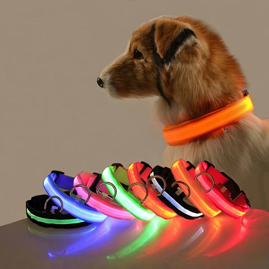 Nylon LED Night Safety Flashing Glow In The Dark Dog Leash Dogs Lumnious Fluorescent Pet Dog Collar