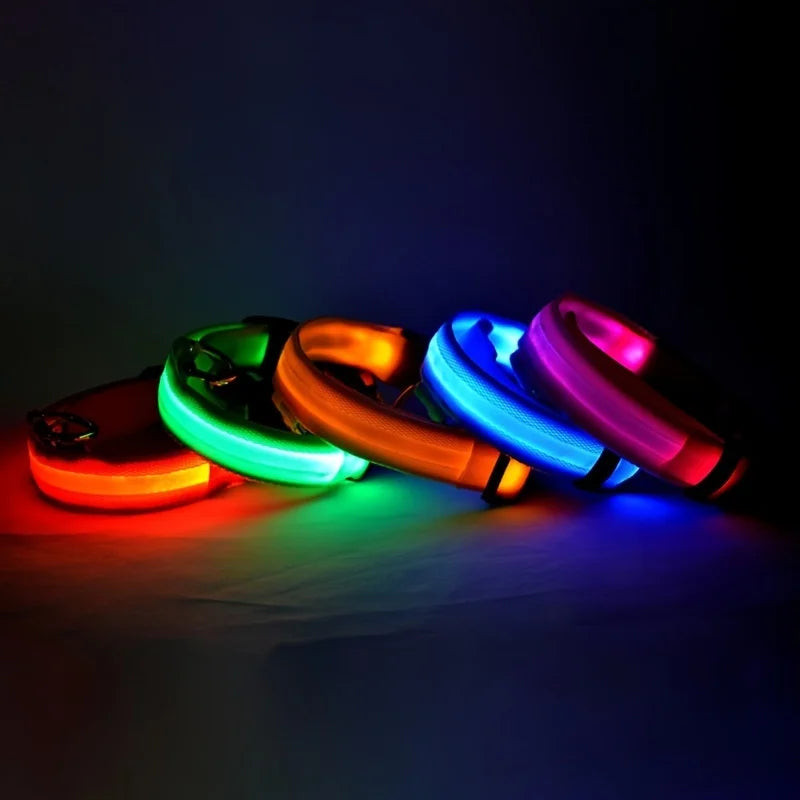 Nylon LED Night Safety Flashing Glow In The Dark Dog Leash Dogs Lumnious Fluorescent Pet Dog Collar
