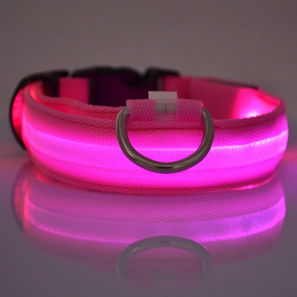 Nylon LED Night Safety Flashing Glow In The Dark Dog Leash Dogs Lumnious Fluorescent Pet Dog Collar