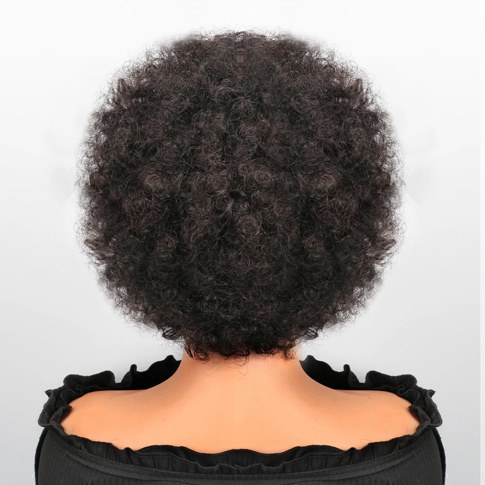 13X4 Afro Kinky Curly Wave Bob Lace Front Braided, Brazilian Remy Human Hair Lace Wig