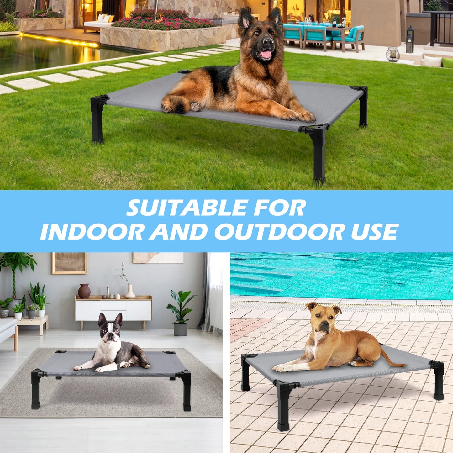 Elevated Cooling Raised Pet Cot, Chew Proof, Washable Breathable Mesh and Metal Frame
