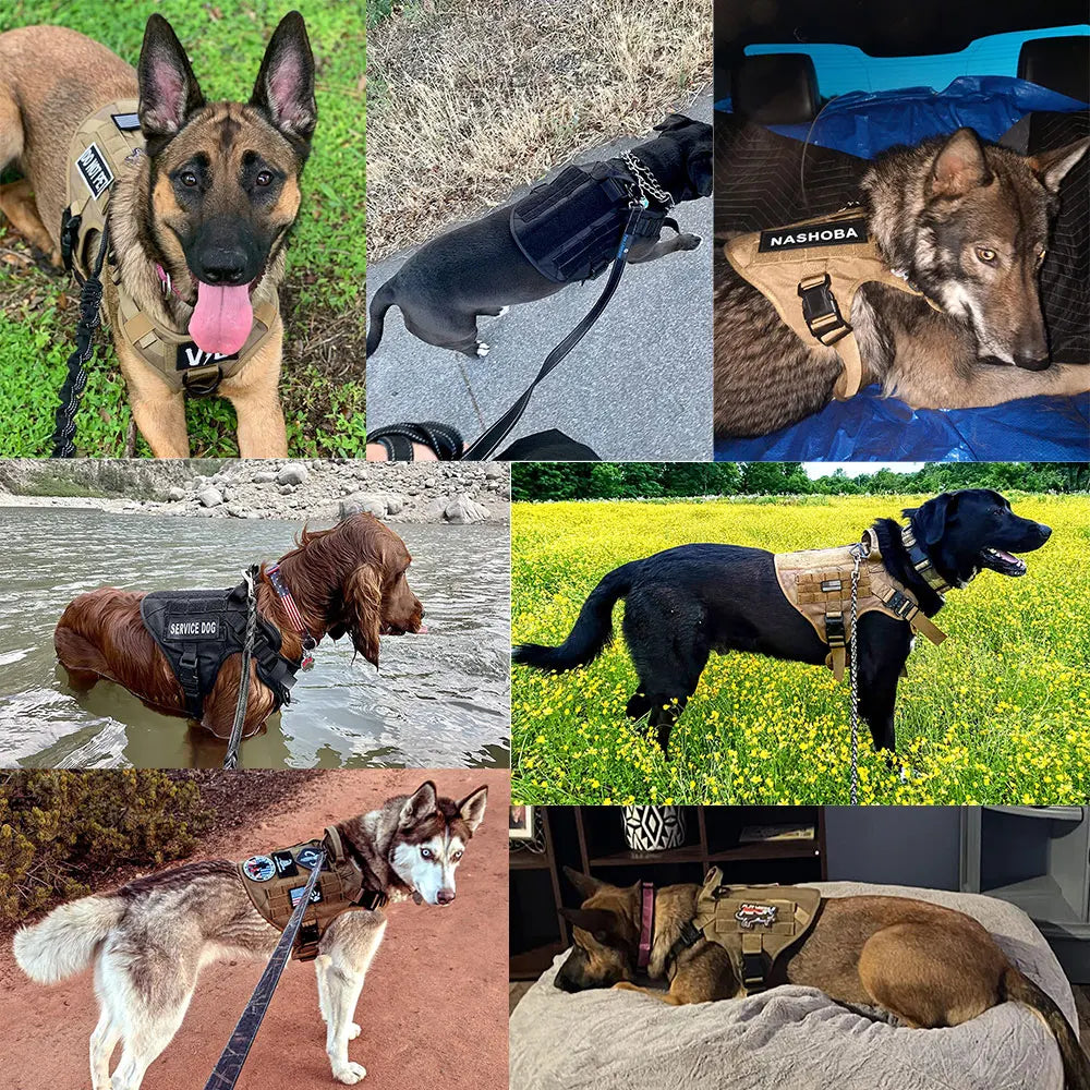 Large Dog Harness and Leash Set Pet German Shepherd and Malinois Training Walking Vest, Dog Harness and Collar for Medium and Large Dogs